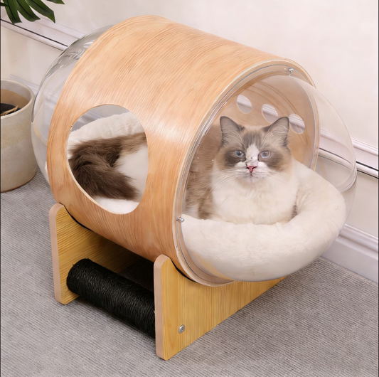 Capsule Cat House Indoor Cat Cave with Windows, Dog Bed Pet Bed for Small Pet Furniture